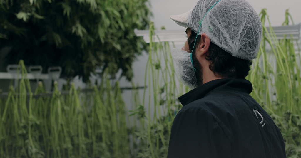 Vanquish Brands company culture — team at Pistol and Paris cannabis